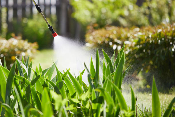 24/7 Emergency Ant Control experts in South Holland, IL