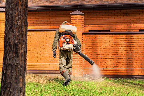 Trusted Mosquito Control service in South Holland, IL - Nex Pest Control